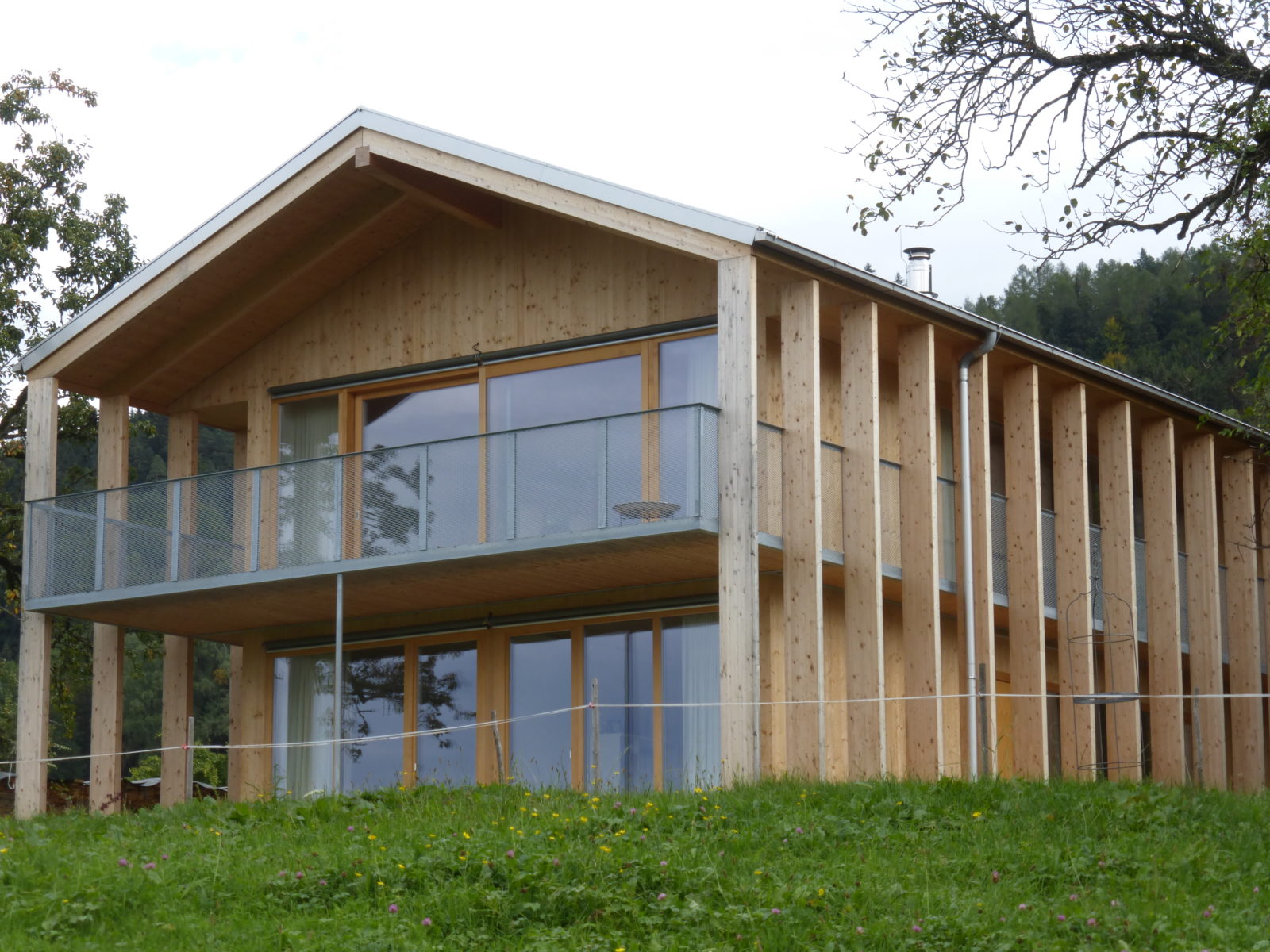 Holz bindet schädliches CO2