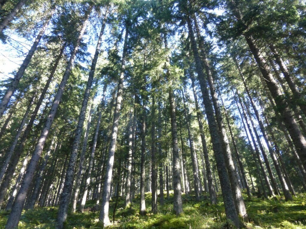 Klimaschutz